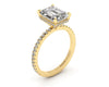 Classic Emerald Hidden Halo With Diamond shank