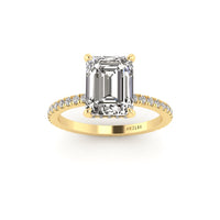 Classic Emerald Hidden Halo With Diamond shank