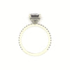 Classic Emerald Hidden Halo With Diamond shank
