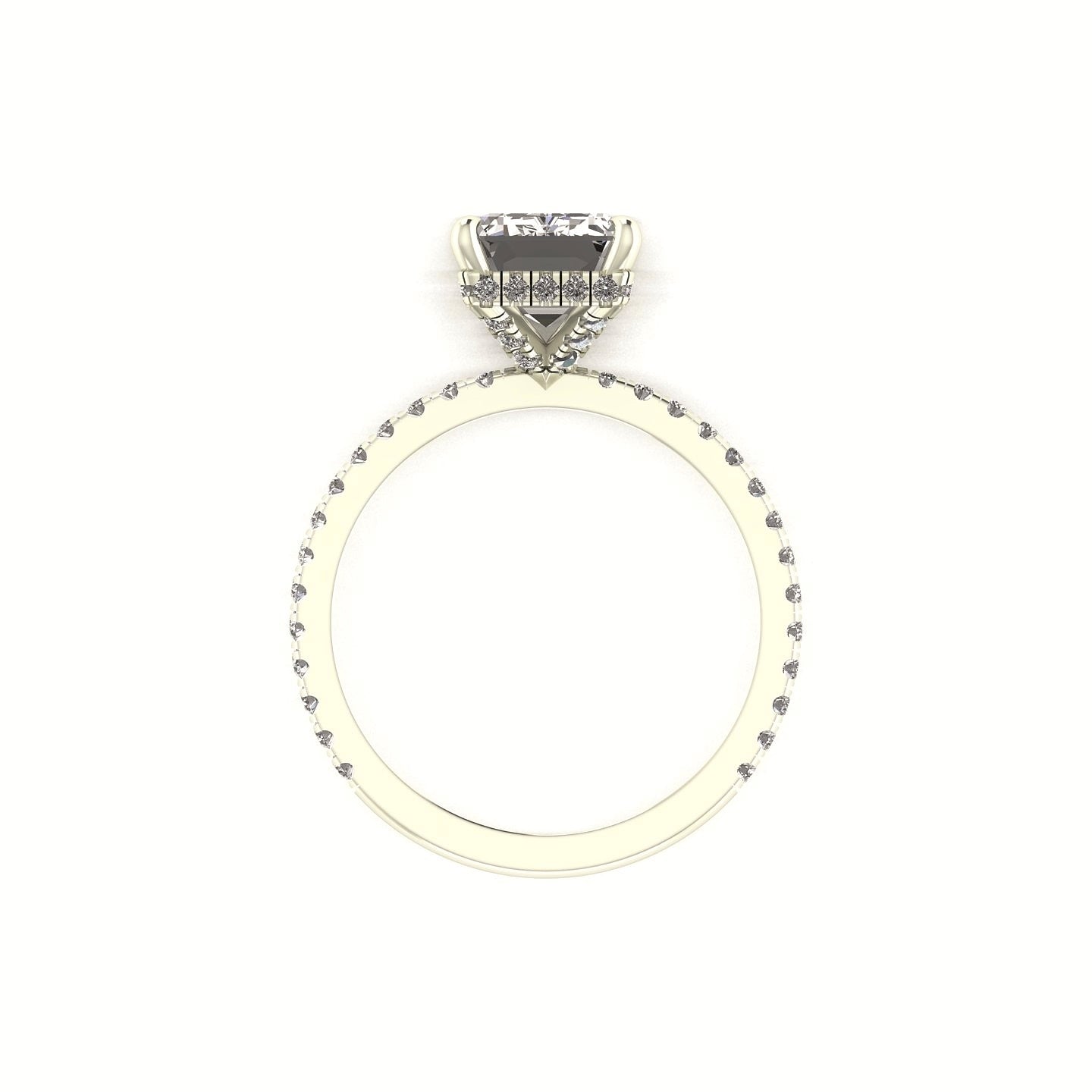 Classic Emerald Hidden Halo With Diamond shank