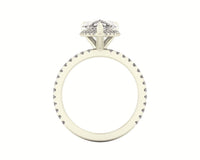 Clasped Pear Halo Pavé Engagement With Diamond Shank