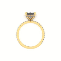 Classic Emerald Hidden Halo With Diamond shank