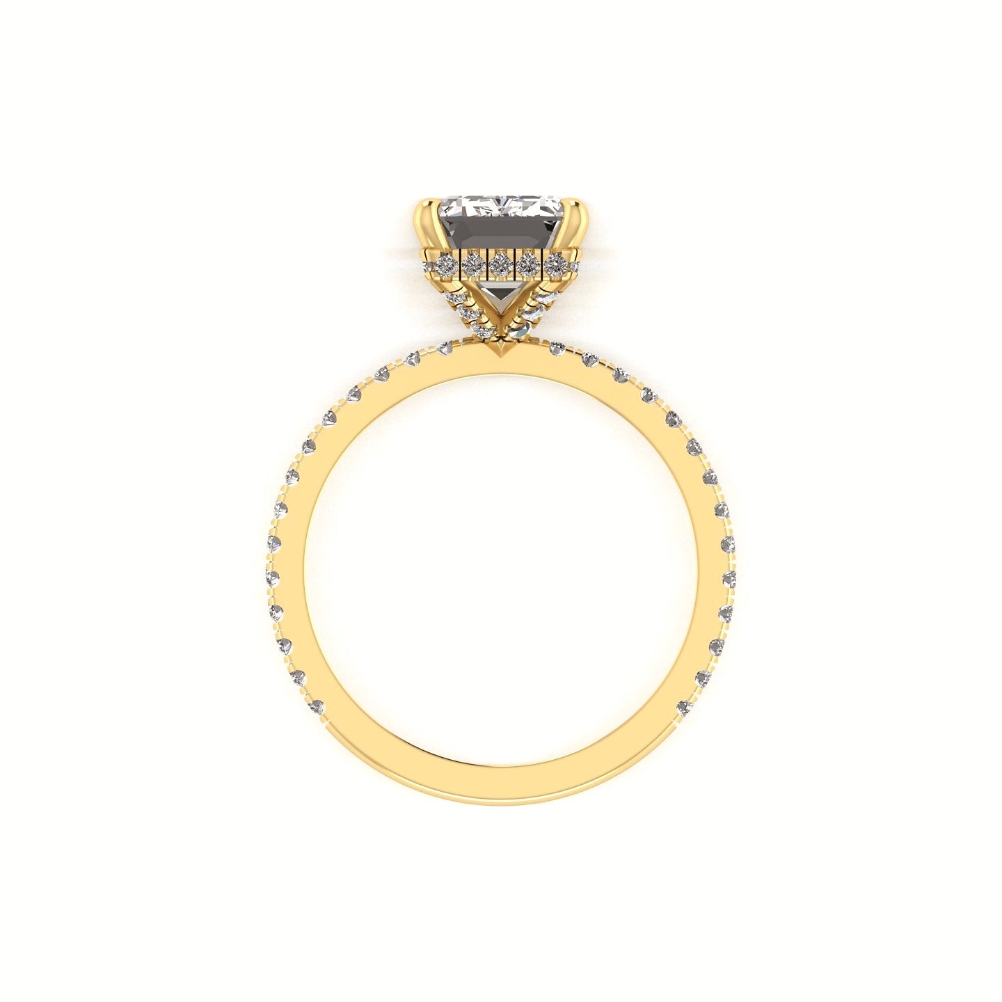 Classic Emerald Hidden Halo With Diamond shank