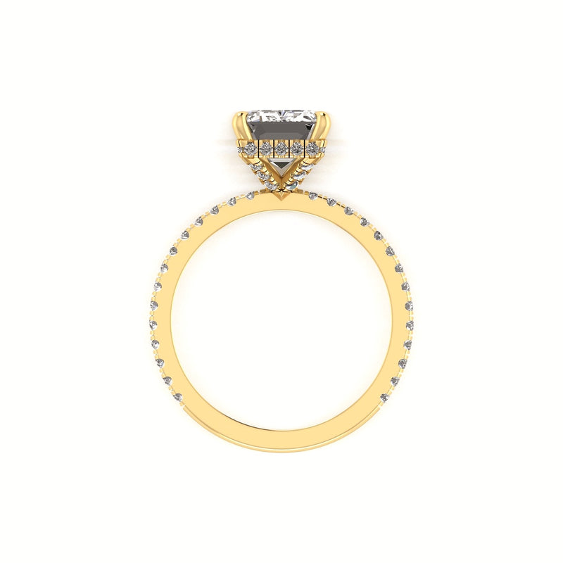 Classic Emerald Hidden Halo With Diamond shank