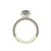 Celeste Round Gallery Three Row Micro pavé Engagement Ring