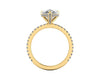 Pear Diamond Set Prongs Gallery Engagement Ring with Pavé Band