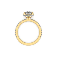 Classic Round Hidden Hallo With Diamond shank