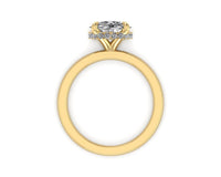 Classic Hidden Halo Engagement ring